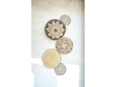 Decoração de Parede de Remo Pintado com Abóbora e Jacinto de Água